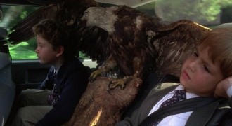 Кадр з фільму Жадібність