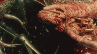 Кадр з фільму Катакомби