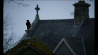 Кадр з фільму Дрібниці життя