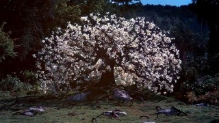 Кадр з фільму Біблія: На початку...