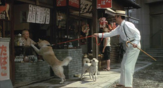 Кадр з фільму Хачіко