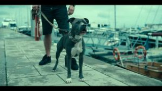 Кадр з фільму Знову лють