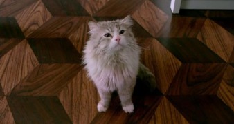 Кадр з фільму Дев'ять життів