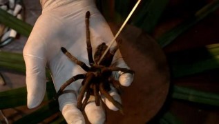 Кадр з фільму Павутина зла