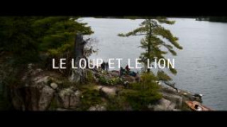 Кадр з фільму Вовк і лев