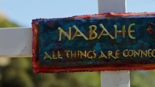 Кадр з фільму Тіньові вовки