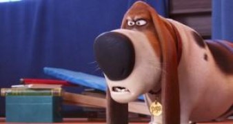 Кадр з фільму Секрети домашніх тварин 2