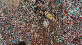 Кадр з фільму Друг