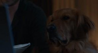 Кадр з фільму Очима собаки