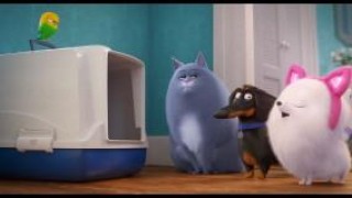 Кадр з фільму Секрети домашніх тварин 2