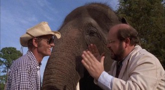 Кадр з фільму Поліцейський і Бандит 2