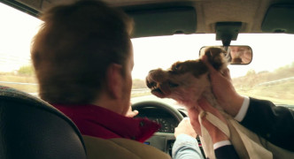 Кадр з фільму Він знову тут