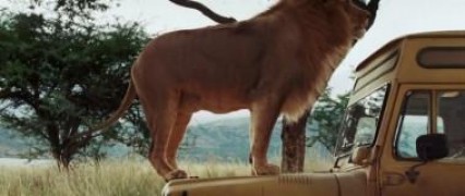 Кадр з фільму Сафарі