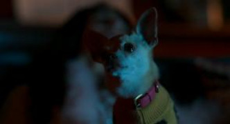 Кадр з фільму Жало