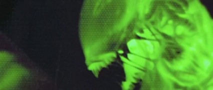 Кадр з фільму Чужий проти хижака