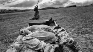 Кадр з фільму Пофарбоване пташеня