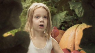 Кадр з фільму Коли падають дерева