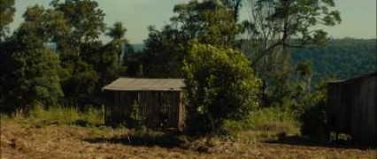 Кадр з фільму Господар джунглів