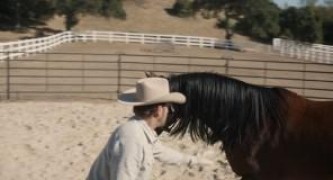 Кадр з фільму Судна ніч назавжди