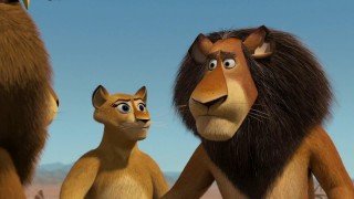 Кадр з фільму Мадагаскар 2