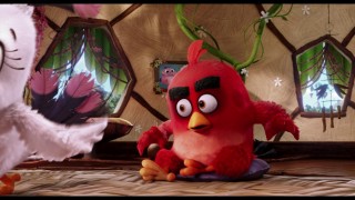 Кадр з фільму Angry Birds в кіно