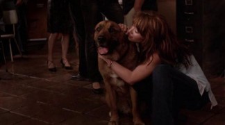 Кадр з фільму Нечутливий