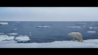 Кадр з фільму Кіна та Юк. Пухнасті пригоди