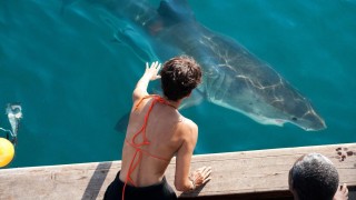 Кадр з фільму Заклинателька акул