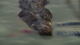 Кадр з фільму Хижі води