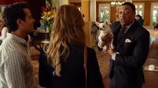 Кадр з фільму Чихуахуа з Беверлі-Гіллз 3