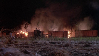 Кадр з фільму Будяк