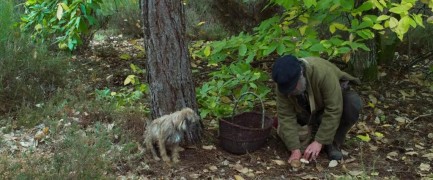 Кадр з фільму Як прогуляти школу з користю