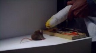 Кадр з фільму Непристойна комедія