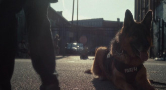 Кадр з фільму Друг