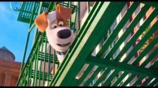 Кадр з фільму Секрети домашніх тварин 2