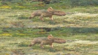 Кадр з фільму Прогулянки з динозаврами