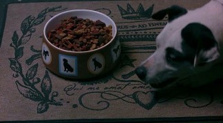 Кадр з фільму Собаче кохання