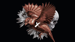 Кадр з фільму Пофарбоване пташеня