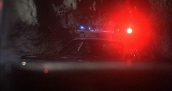 Кадр з фільму Лисиці