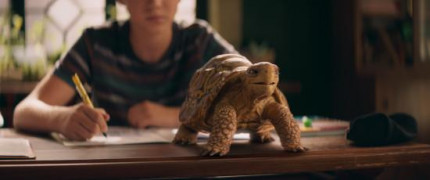 Кадр з фільму Школа магічних тварин: Таємниця шкільного подвір'я