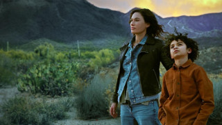 Кадр з фільму Дев'ять життів