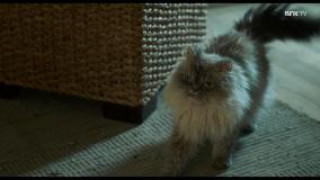 Кадр з фільму Каспер і Емма у театрі