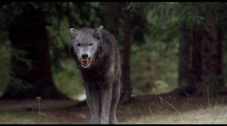 Кадр з фільму Авіатор