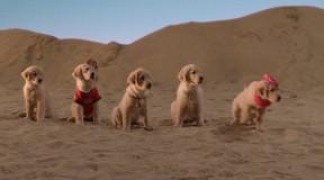 Кадр з фільму П'ятірка шукачів скарбів