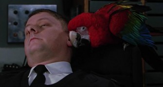 Кадр з фільму 102 далматинці