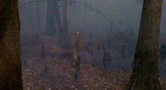 Кадр з фільму Південна гостинність