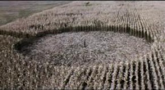 Кадр з фільму Тихі попередження