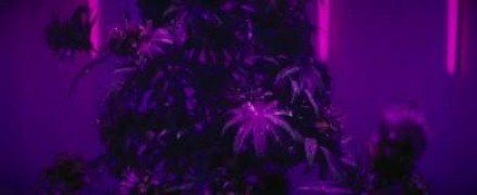 Кадр з фільму Пустопляс