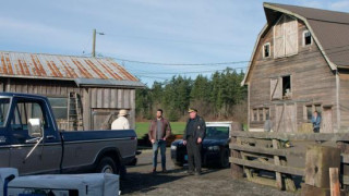 Кадр з фільму Острів яхт і таємниць: Отруєні в раю