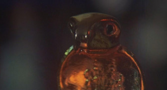 Кадр з фільму Пробудження із мертвих